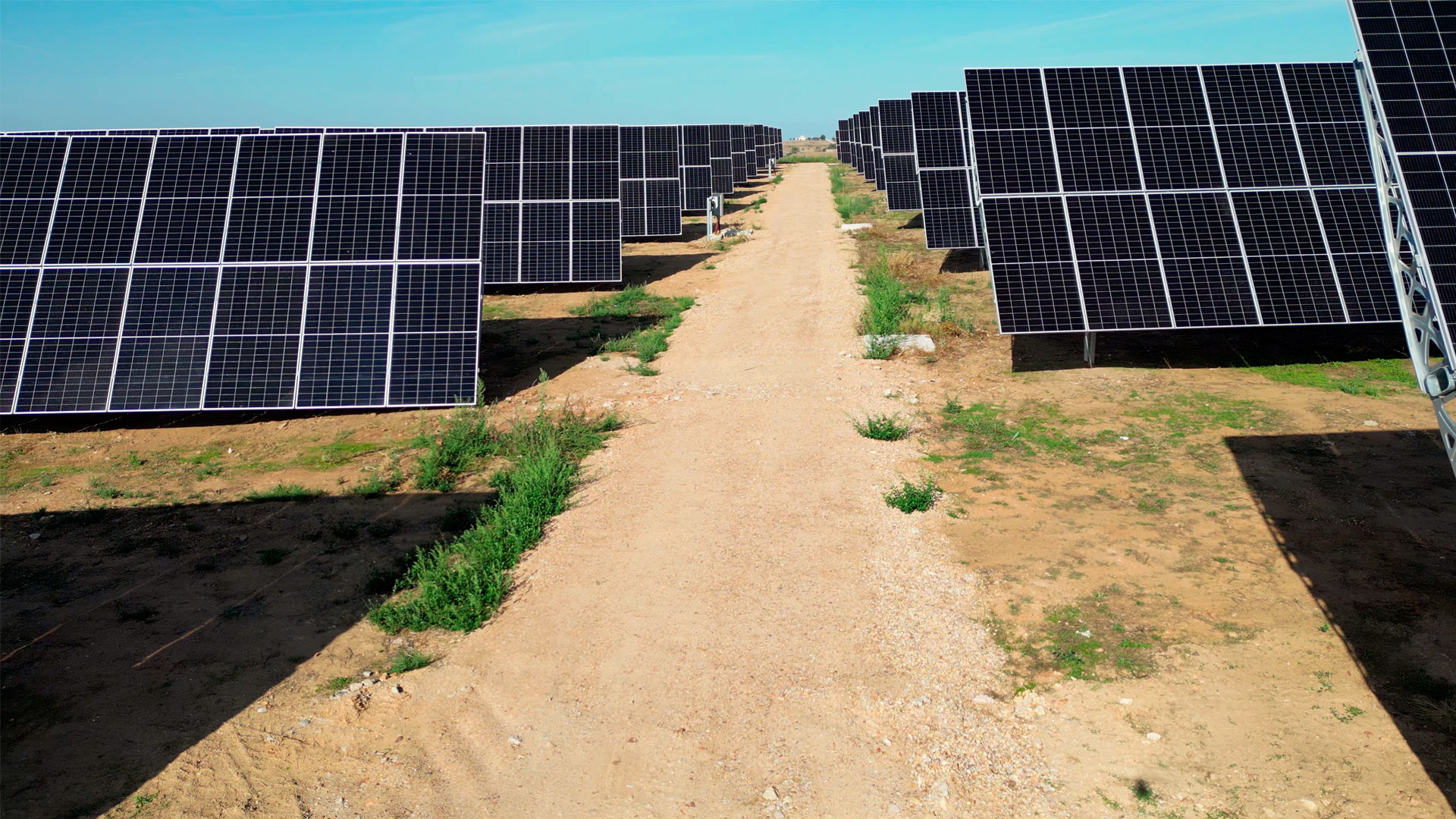 Instalación fotovoltaica de placas solares sobre suelo rural para generación de energía eléctrica.