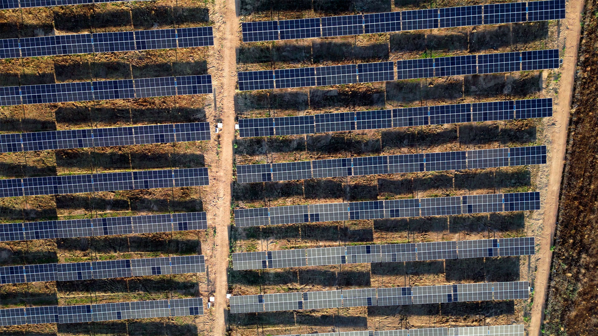Instalación fotovoltaica de placas solares sobre suelo rural para generación de energía eléctrica.